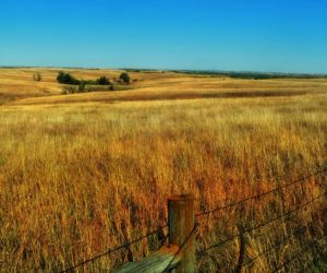 nebraska-321291_960_720
