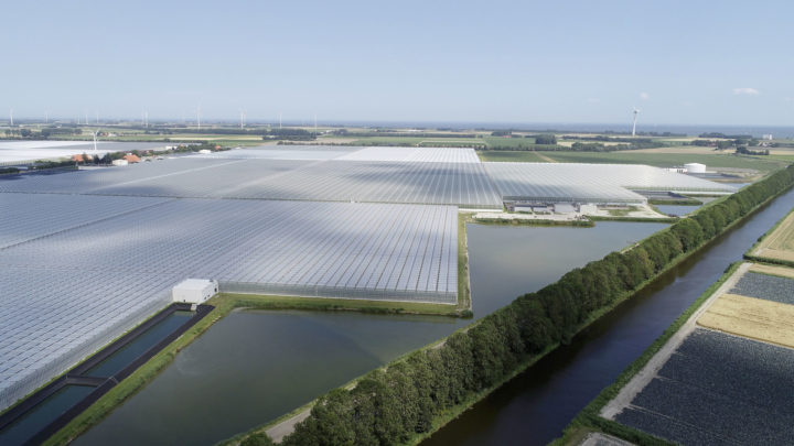 Glastuinbouw
