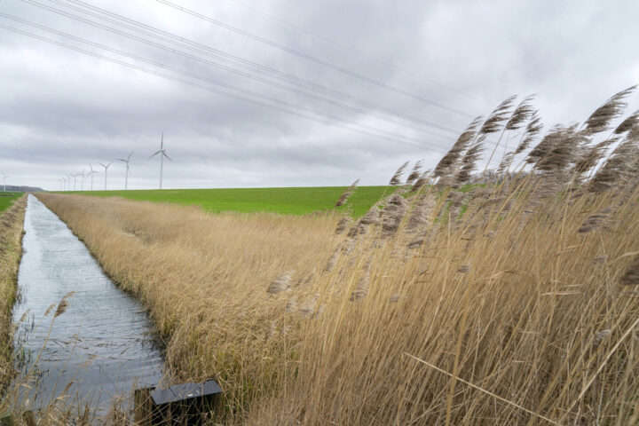 Flevoland