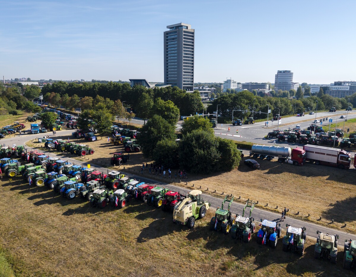 Waarom er ‘op dit moment’ weer enige hoop is voor vijf Brabantse pluimveehouders