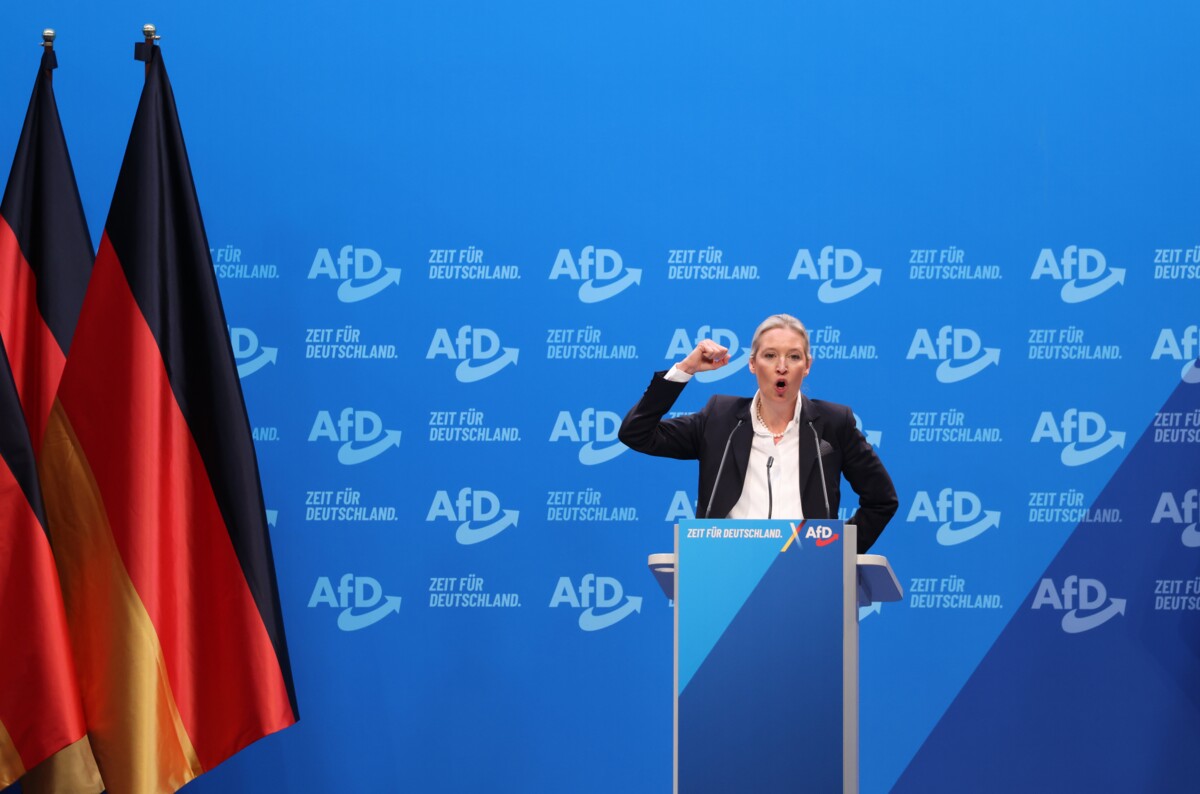 Is AfD extreem-rechts? Duitse veiligheidsdienst, deelstaten en rechters ...